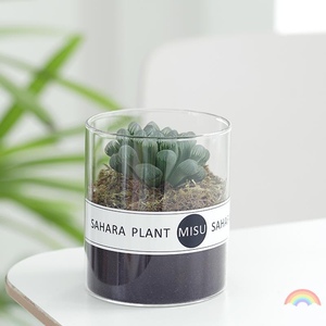仙人掌盆栽大号仙人掌科植物室内仙人掌树绿植电脑旁防辐射h放桌