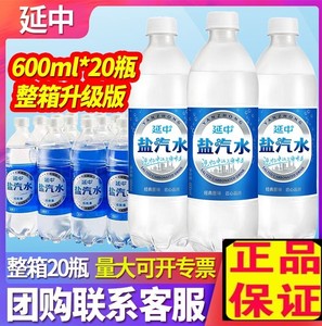 盐中盐汽水整箱发批包邮饮料网红国产廷新碳酸夏季咸味多种口味