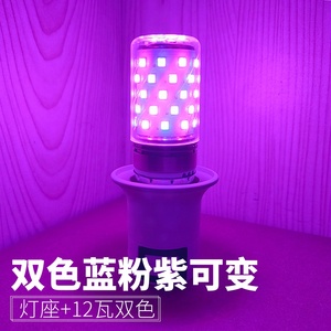 紫色蓝色led彩色灯泡粉色浪漫小夜灯拍照补光装饰卧室氛围灯.