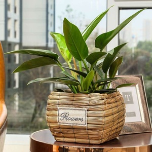 新品多肉滕编花盆d草编藤条花蓝编织欧式客厅北欧创意简约花盆筐