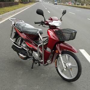 全新国威弯梁摩托车国四电喷可上牌110男女装助力车燃油车48cc