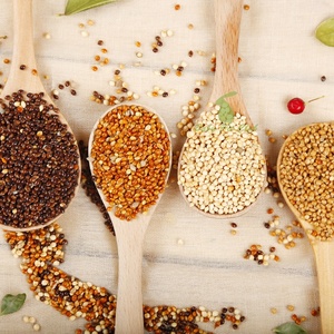 h22虎皮牡丹玄凤型鹦鹉鸟食饲料四色黍子黑红黄白混合粮米粟谷子