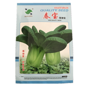 金华三月青种子大仙菜种籽落汤青四季阳台蔬菜芥菜种孑小青菜油菜
