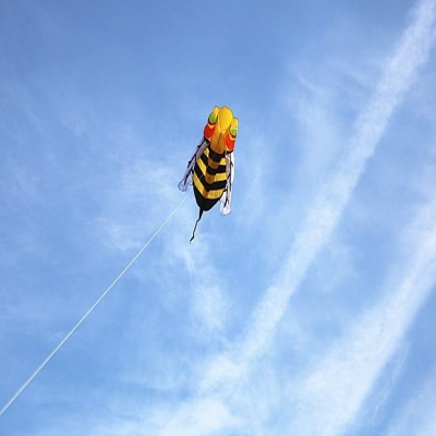 2022新d风筝包风筝软体软体蜜蜂阳风筝北京红软体蜂王大小潍坊