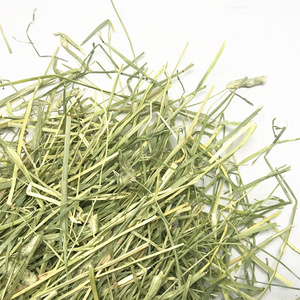 64阳楠旗舤店淘宝2022新草兔草提摩西草干草兔子龙猫草粮豚鼠粮