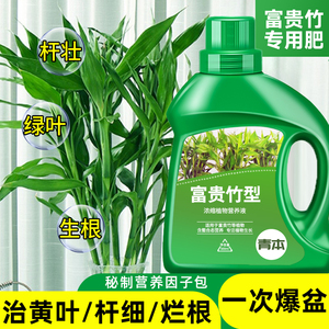 富贵竹营养液专用肥专治黄叶生根转运竹龙竹观音竹水培植物养专用