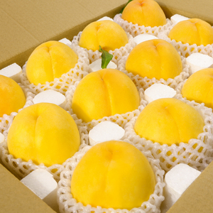 正宗新鲜山东黄桃水果桃子6月锦绣蒙阴黄金桃果子5斤整箱 包邮