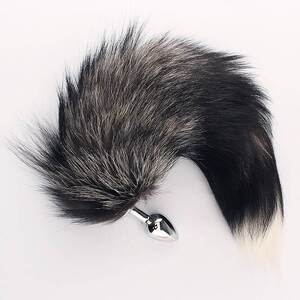 肛塞尾巴猫可爱