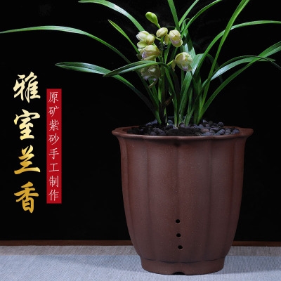 紫砂精品手工兰花盆君子兰春蕙墨吊兰达摩兰花专用盆圆陶瓷带托盘