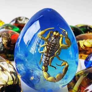 真蝎子昆虫琥珀饰品挂件天然昆虫人造琥珀虫珀项链吊坠儿童礼品玩