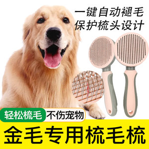 金毛专用按摩梳子宠物狗狗中大型犬狗刷子梳毛刷去浮毛神器用品