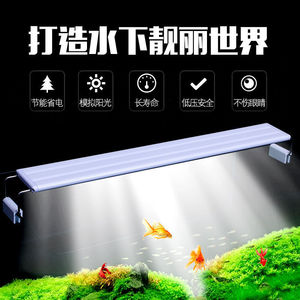 爆藻灯萌虫爆藻灯鱼缸爆藻灯照明鱼缸灯防水灯小型水草灯草缸灯水