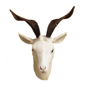 仿真山羊头仿真羊头模型动物头壁饰壁挂墙挂s火锅店羊肉店装饰