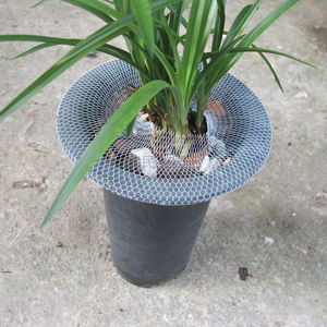 兰花盆网罩盆栽用品高弹力套兰草防护网套白色尼龙塑料网10米包邮