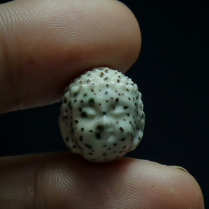 新品菩提手串宝刻大雕如来释迦牟尼宝j日佛背云隔珠配饰配件套装