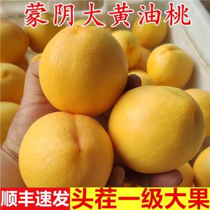 正宗山东临沂蒙阴黄桃黄金蜜1号特大油桃现摘新鲜桃子脆甜5斤礼盒