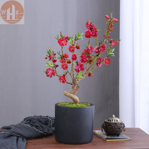 花盆栽寿星桃花鲜花适合室内耐寒花卉客厅s植物好养活家养