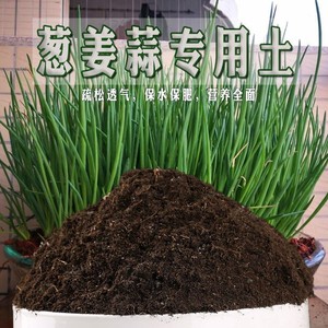 葱姜蒜专用肥香葱蒜苗洋葱肥通用种菜土阳台盆栽家用种疏菜有机肥