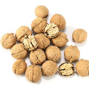 云南103薄壳核桃