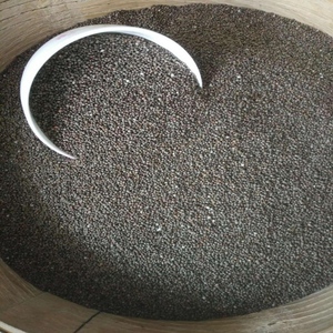 贵州特产苏麻引子