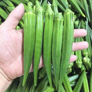 海南新鲜蔬菜黄秋葵 现摘现发空运包邮3斤一10斤装
