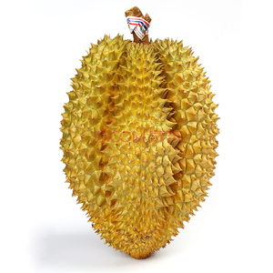 金凤榴莲