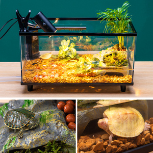 乌龟饲养缸巴西鳄龟生态饲养箱桌面小型鱼缸懒人客w厅养龟缸养殖