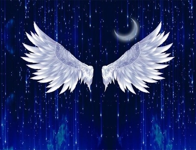 背景布3d立体网红公大气yxy主播播播间 主墙纸翅膀主直新款