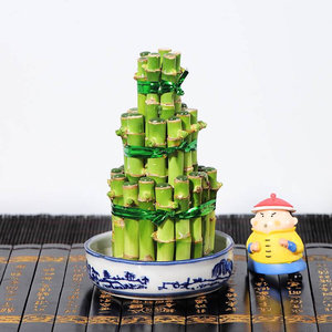 财植富件贵转培厅塔竹节竹摆居客物运招新盆竹迁高节乔栽财发水j