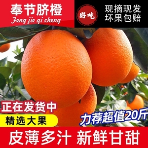 正宗重庆奉节脐橙纽荷尔挤橙济橙新鲜10斤当季水果福本现摘齐橙子