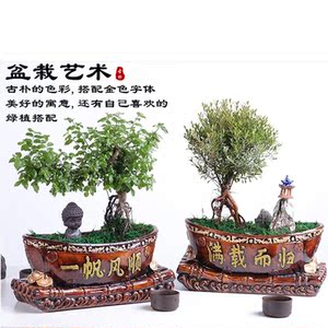 【小盆栽胶花】小盆栽胶花品牌,价格 - 阿里巴巴