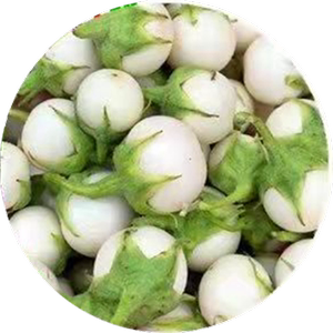 越南小圆白茄子种子小茄子白茄子圆茄子料理小圆茄春季简单易播种