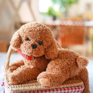 仿真泰迪狗公仔毛绒玩具黑色泰迪犬狗狗玩偶布娃娃宠物犬陪伴玩具