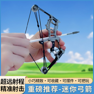 迷你弓箭不锈钢弓身小型弓箭滑轮弓大威力打靶微型弓反曲复合弓
