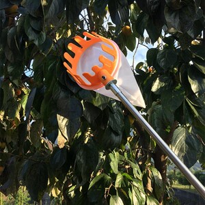 不锈钢伸缩杆采摘苹果杨梅荔枝芒果高空采果的工具几策空间设计4