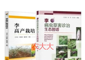 李子种植技术大全李子树种植光盘与繁殖方法病虫害防治3光盘3书籍