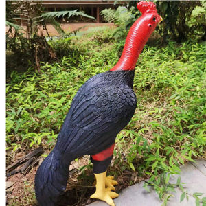 假斗鸡 假鸡 鬼子鸡斗鸡模型斗鸡 仿真斗鸡斗鸡训练用品