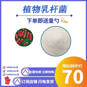 植物乳杆菌 乳酸菌粉 益生菌 植物乳杆菌粉 速溶益生菌粉 散装
