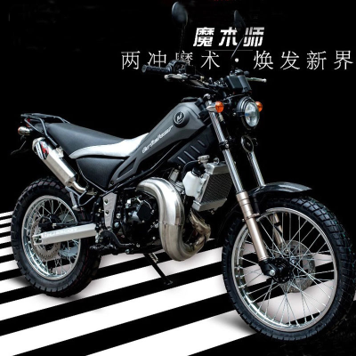 dt230恒舰两冲p盘50 二冲程魔术师两冲250小牙齿小2小链轮小链盘j