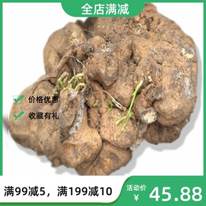 贵州野生中草药材新鲜雪胆苦金盆 曲莲罗锅底蛇莲金龟莲 500g包邮