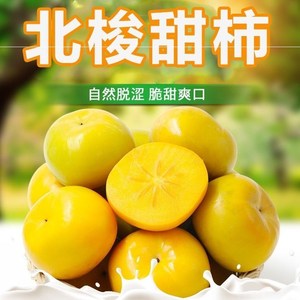 广东信宜市大成北梭甜柿脆柿子大中果时令水果新鲜甜柿脆柿