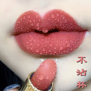 小众品牌不沾杯不掉色素颜黄皮显白口红豆沙色持久不脱妆哑光质地