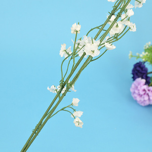 丝网花小满天星