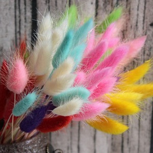 i彩色粉色兔h尾草干花狗尾巴草乾燥花拍摄道具居家餐厅服装装2022