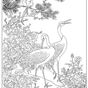 工笔画底稿 金鸿钧m工笔牡丹仙鹤白描打印稿毛笔勾线宣纸稿 4