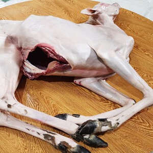 带皮鹿肉新鲜包邮