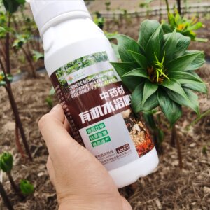 22包邮重楼z用根腐净根腐宁中研乐康叶面肥根腐病根腐灵灰霉净地