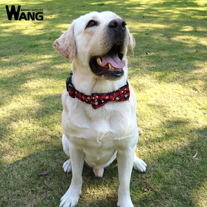 狗狗配饰蝴蝶结圣诞节狗项圈中大型犬拉布拉多金毛牵引绳脖圈狗链