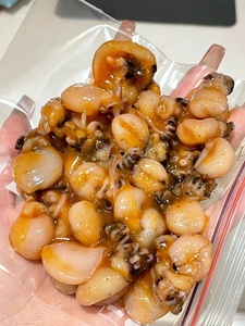 宫野家庭小吃照烧墨鱼仔日式墨鱼仔即食八爪鱼600g装日料店原料