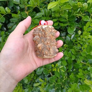 花椒木把玩天然野生花椒木按摩棒花椒木手把玩把件挂件按摩手